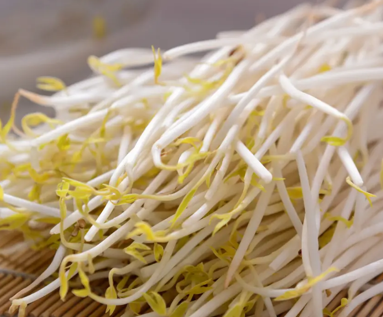 使用豆芽機怎么生長豆芽