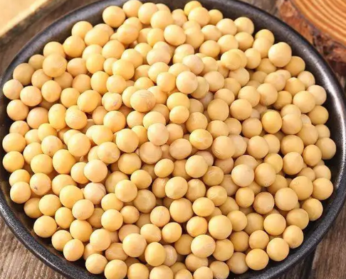 豆皮機市場應(yīng)該怎么走